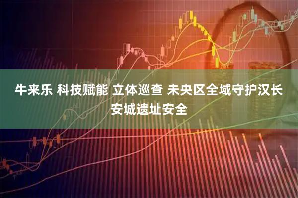 牛来乐 科技赋能 立体巡查 未央区全域守护汉长安城遗址安全