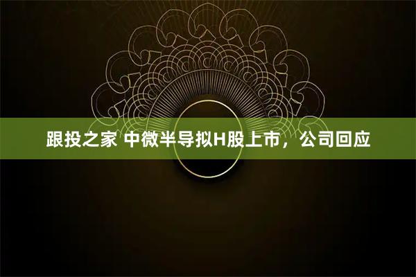 跟投之家 中微半导拟H股上市，公司回应