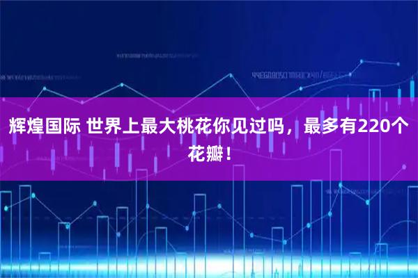 辉煌国际 世界上最大桃花你见过吗，最多有220个花瓣！
